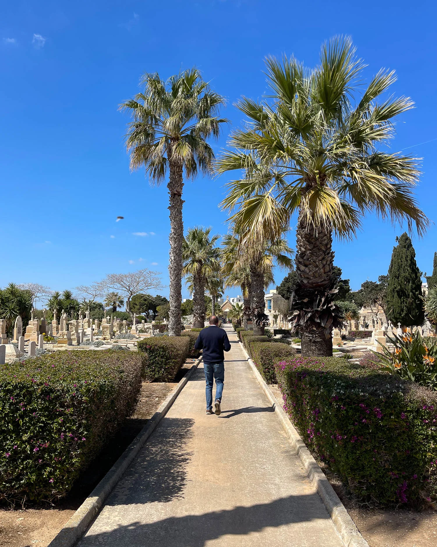 Kalkara Naval Cemetery Malta Photo Heatheronhertravels.com