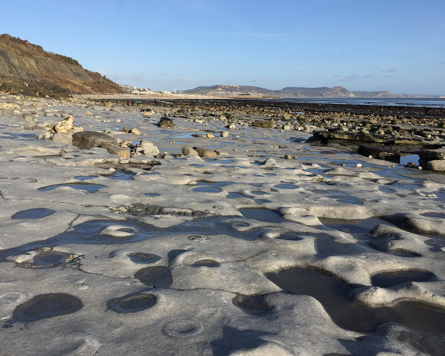 Ammonite pavement at Lyme Regis Photo Heatheronhertravels.com