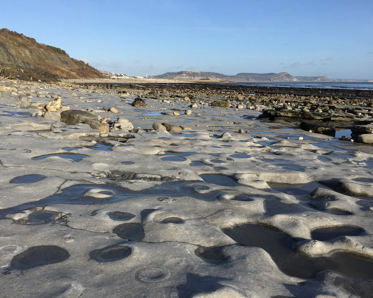 Ammonite pavement at Lyme Regis Photo Heatheronhertravels.com