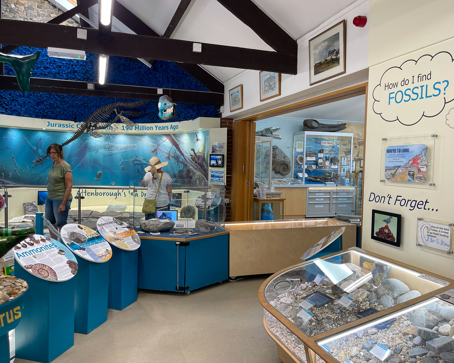 Charmouth Visitor Centre Dorset Photo Heatheronhertravels.com