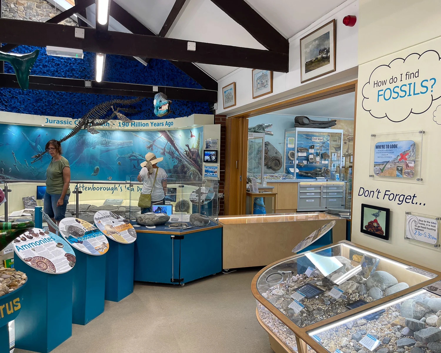 Charmouth Visitor Centre Dorset Photo Heatheronhertravels.com