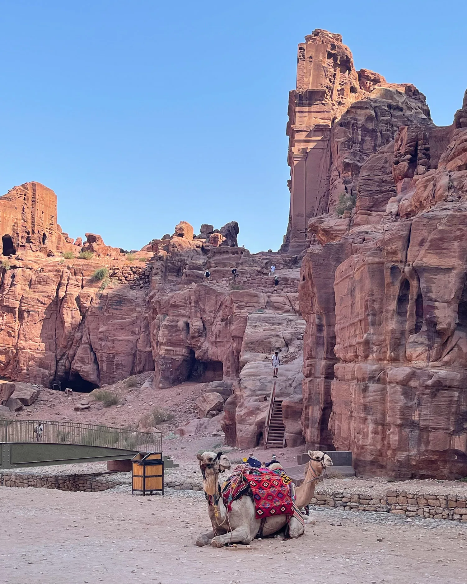 Camels at Petra Photo Heatheronhertravels.com