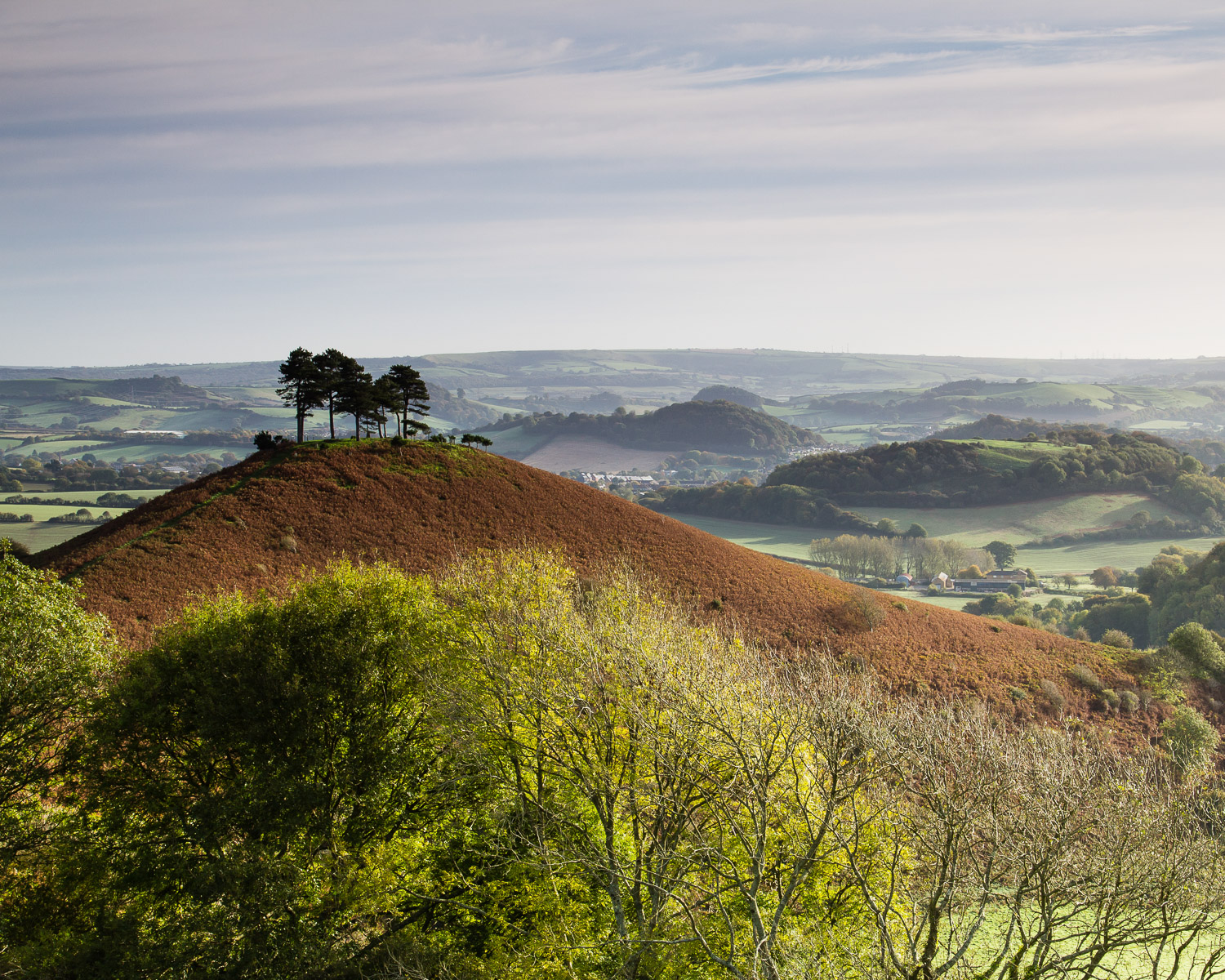 Colmer's Hill Dorset Photo Graham Duerden on Flickr