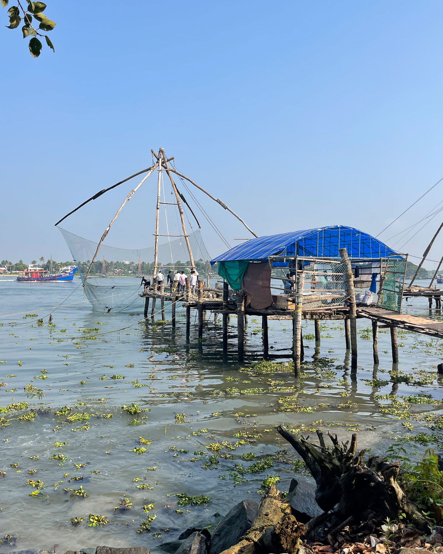 Chinese fishing nets in Kochi in Kerala, India Photo Heatheronhertravels.com
