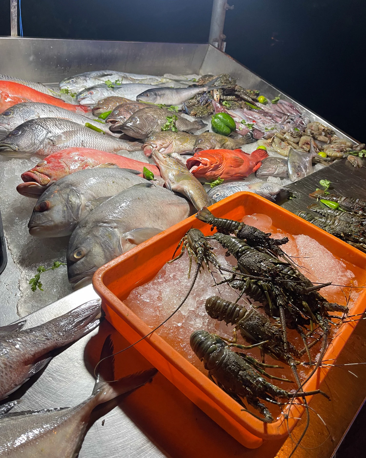 Fresh fish on North cliff Varkala Kerala India Photo Heatheronhertravels.com