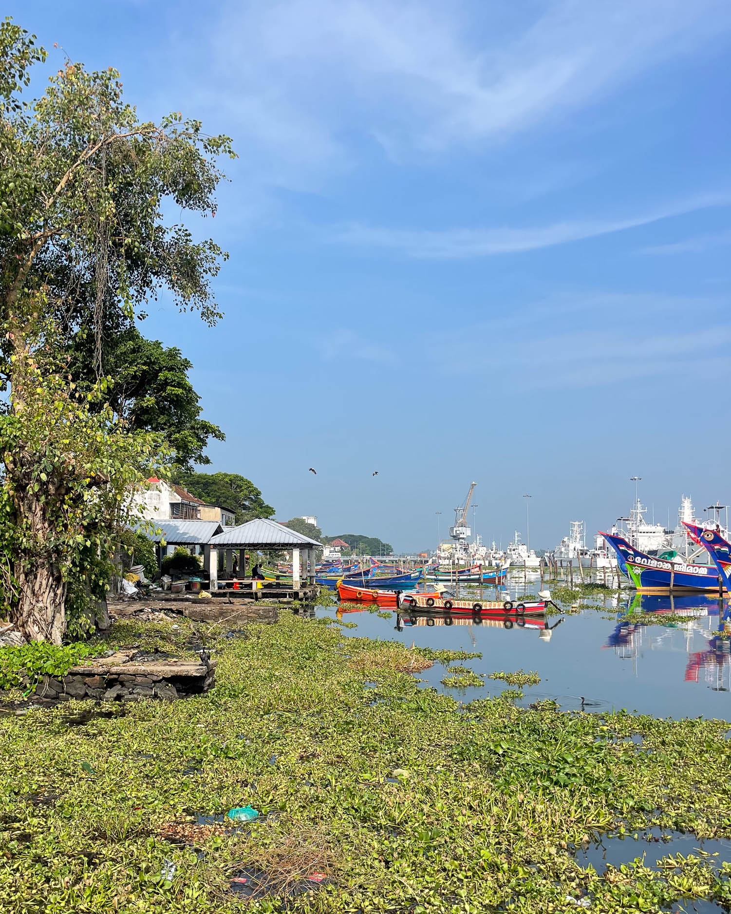 Kochi in Kerala, India Photo Heatheronhertravels.com