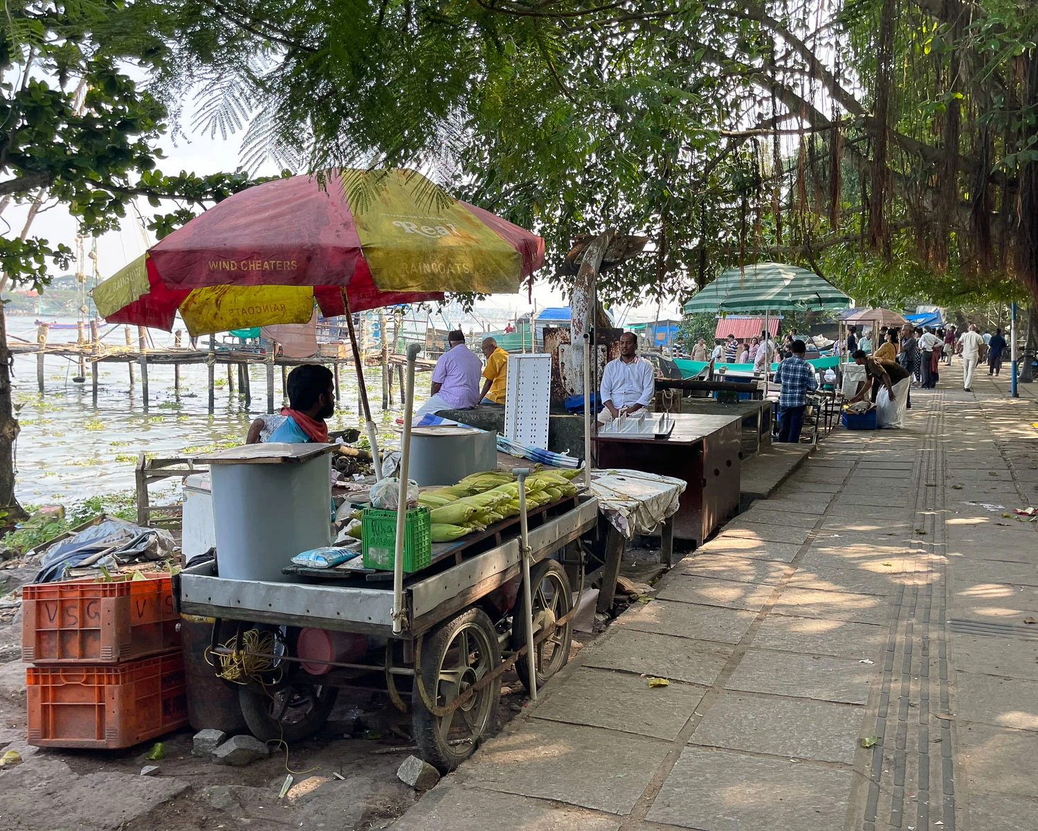 Marine Drive in Fort Kochi in Kerala, India Photo Heatheronhertravels.com