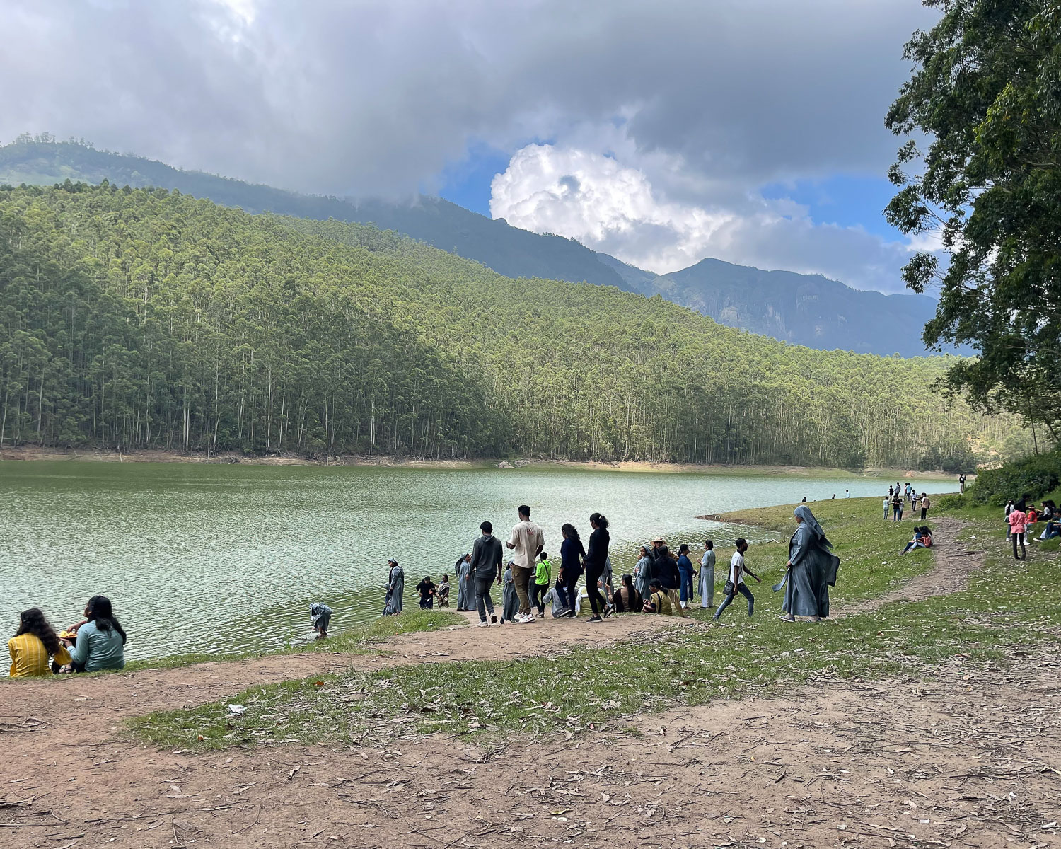 Mattupetty Reservoir Munnar Kerala India Photo Heatheronhertravels.com