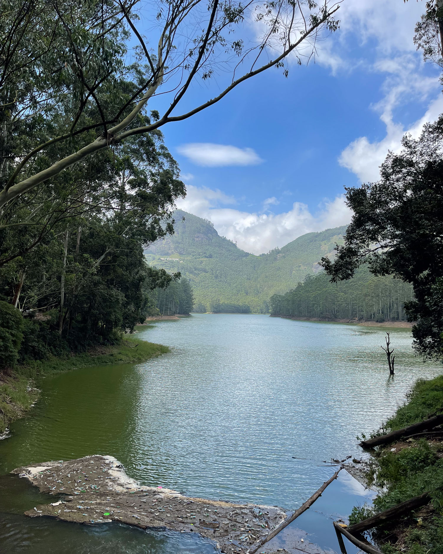 Reservoir in Munnar Kerala India Photo Heatheronhertravels.com