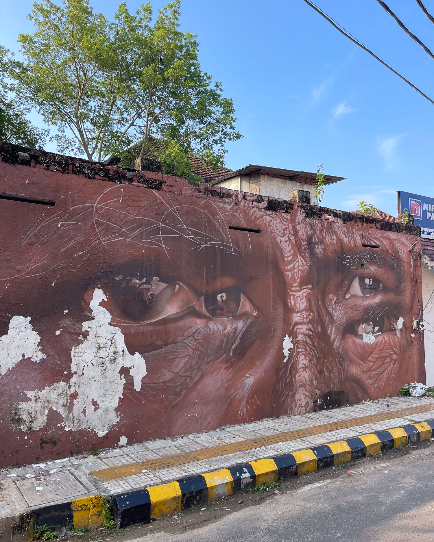 Street art in Mattancherry Kochi Kerala India Photo Heatheronhertravels.com