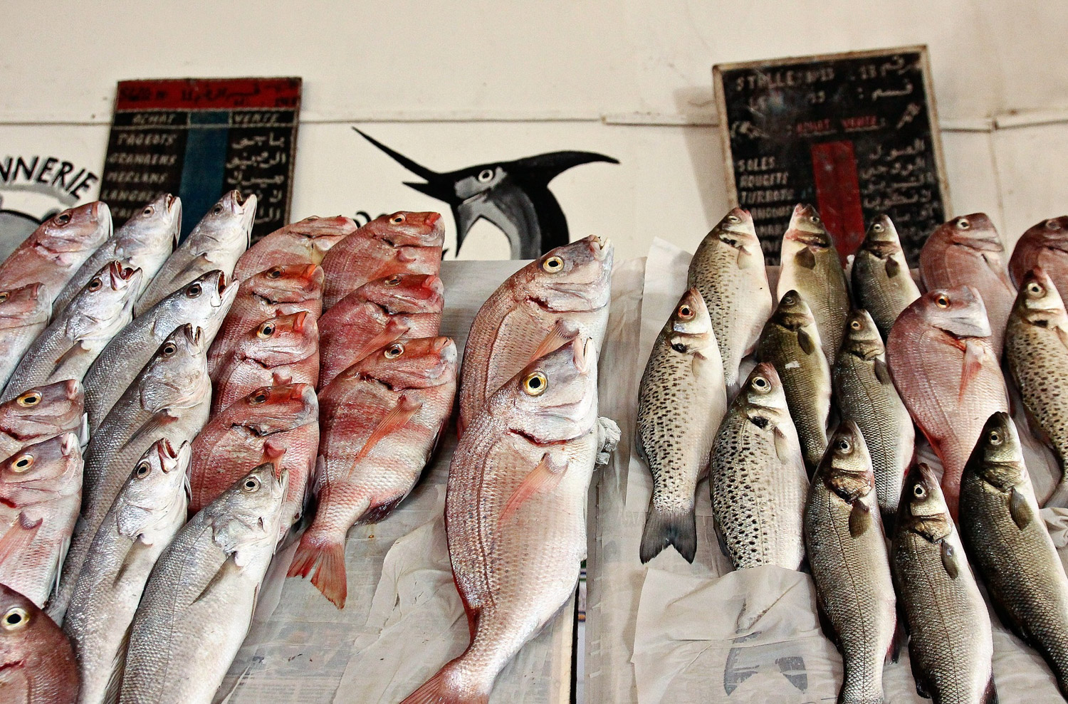Casablanca fish by Magalie Abbe on Flickr