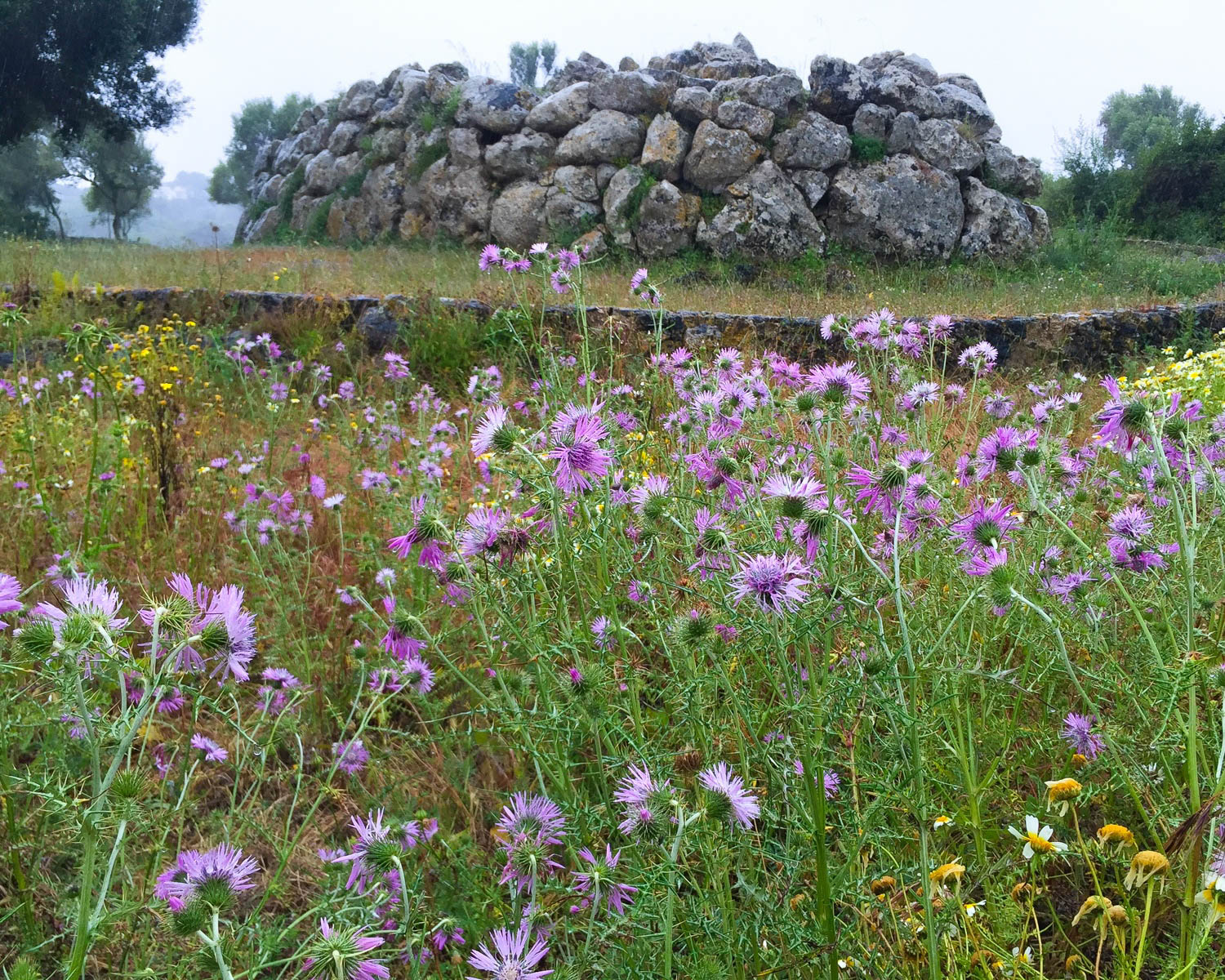 Naveta Rafal Rubi Talayotic culture Menorca Photo Heatheronhertravels.com