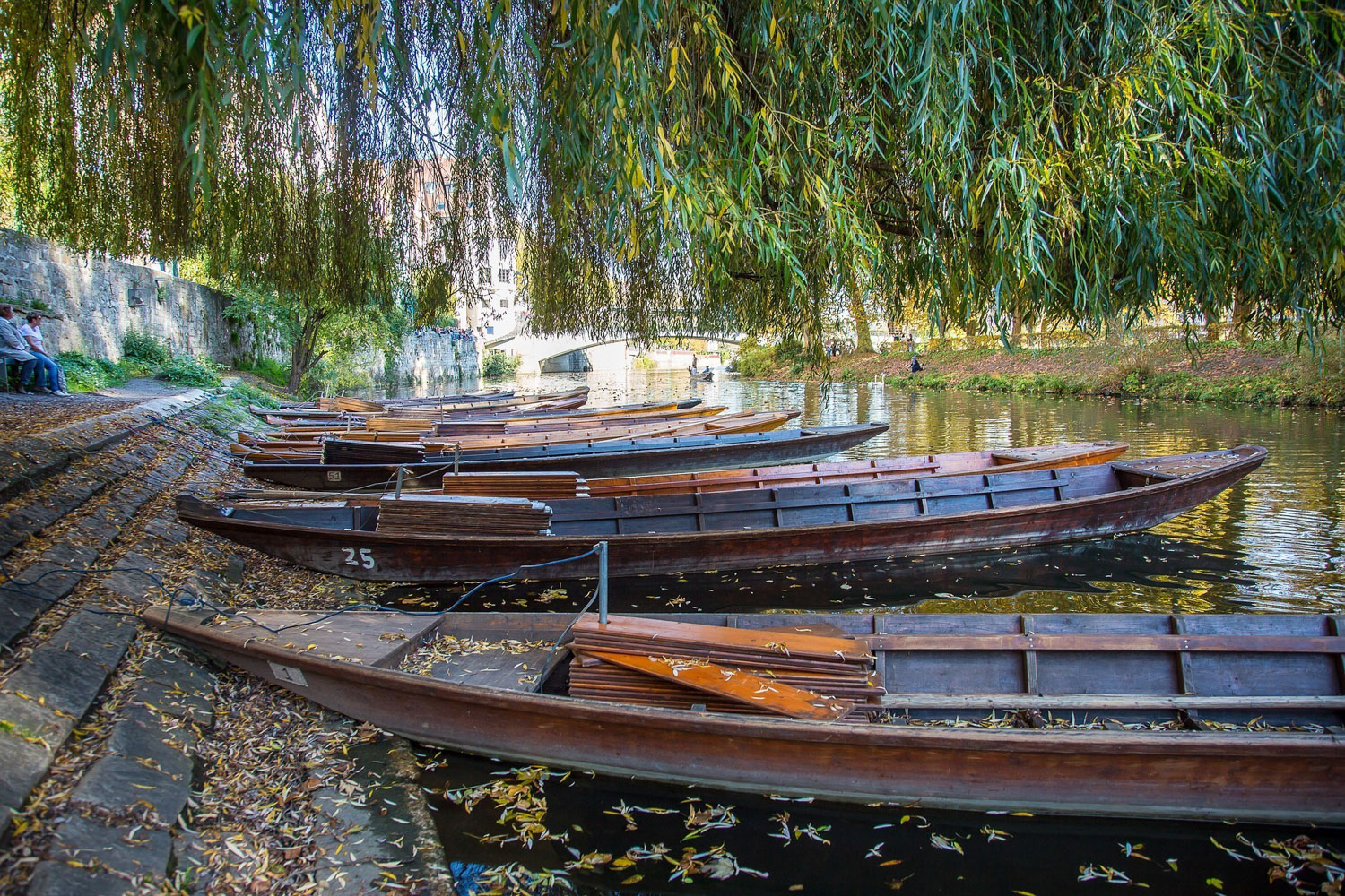 Punts on the River Neckar at Tübingen Photo Maxmann on Pixabay