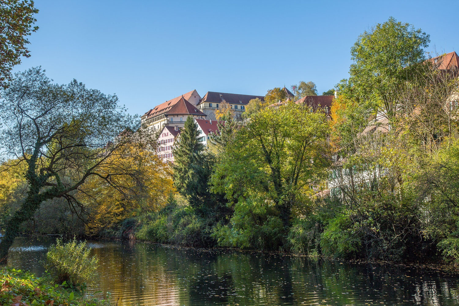 Schloss Hohen Tübingen Germany Photo Maxmann on Pixabay