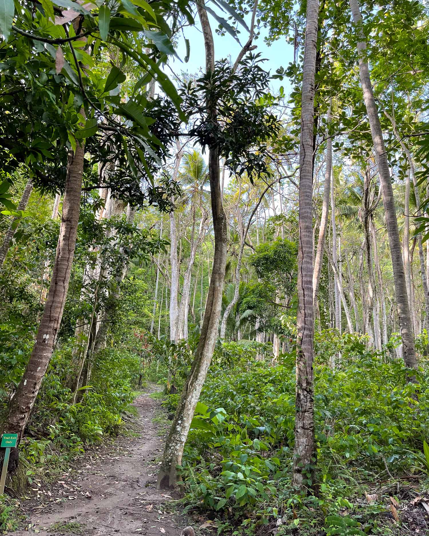 Anse-Mamin-Plantation-St-Lucia