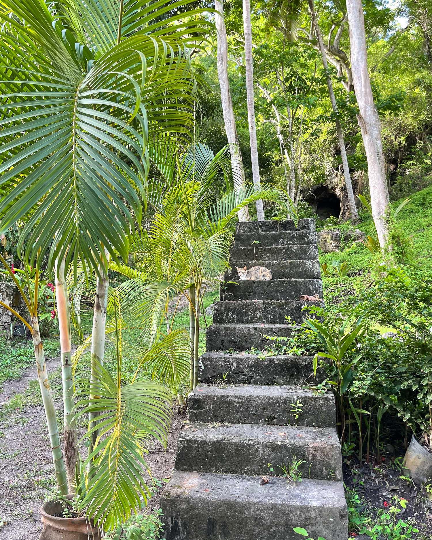 Anse-Mamin-Plantation-St-Lucia