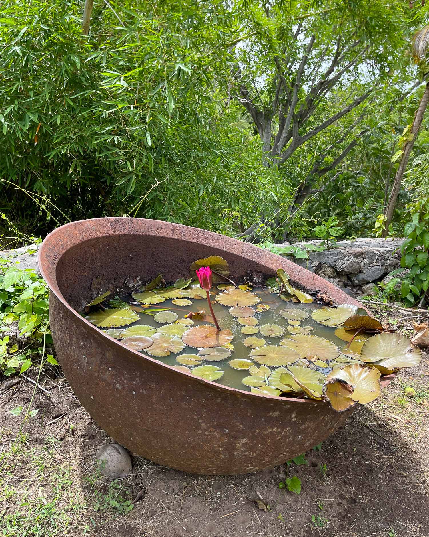 Balenbouche Plantation Saint Lucia Photo Heatheronhertravels.com