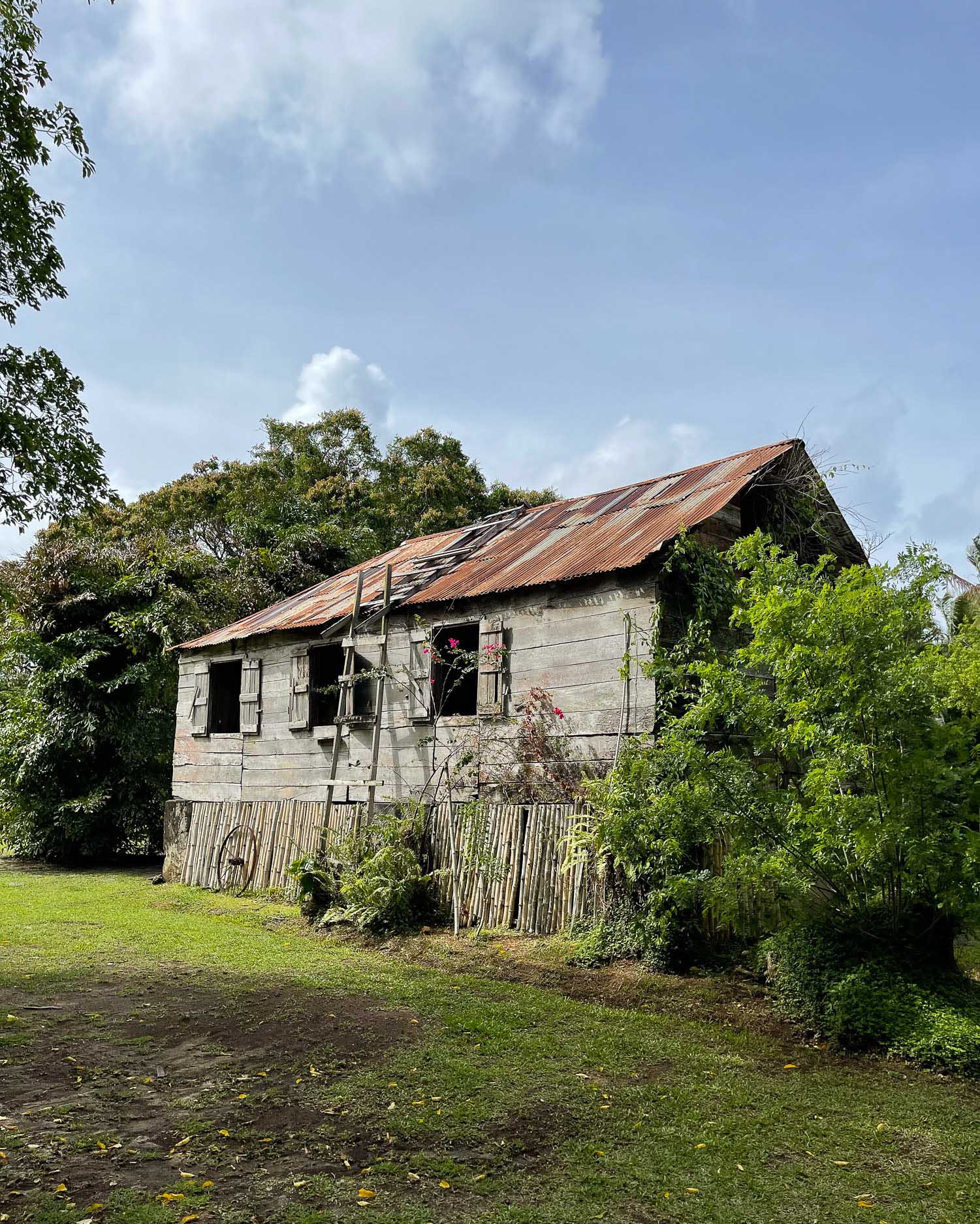 Balenbouche Plantation Saint Lucia Photo Heatheronhertravels.com