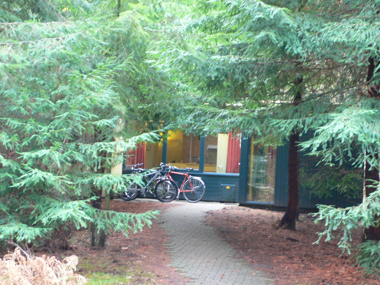 Cabin in the forest at Centerparcs Longleat