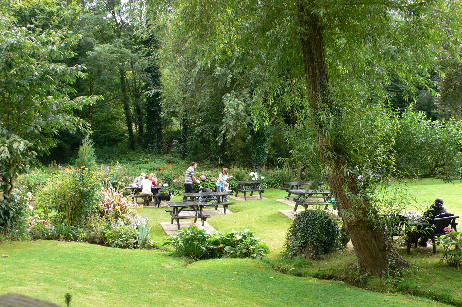 Garden of the Mill tea rooms in Dunster
