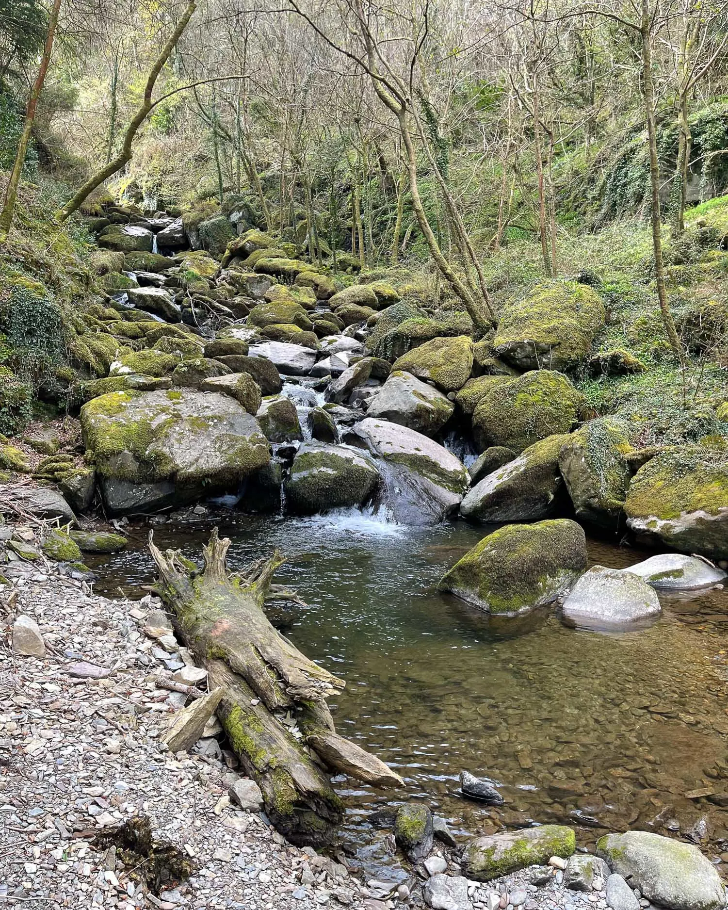 Glen Lyn Gorge in Lynmouth, Devon Photo Heatheronhertravels.com