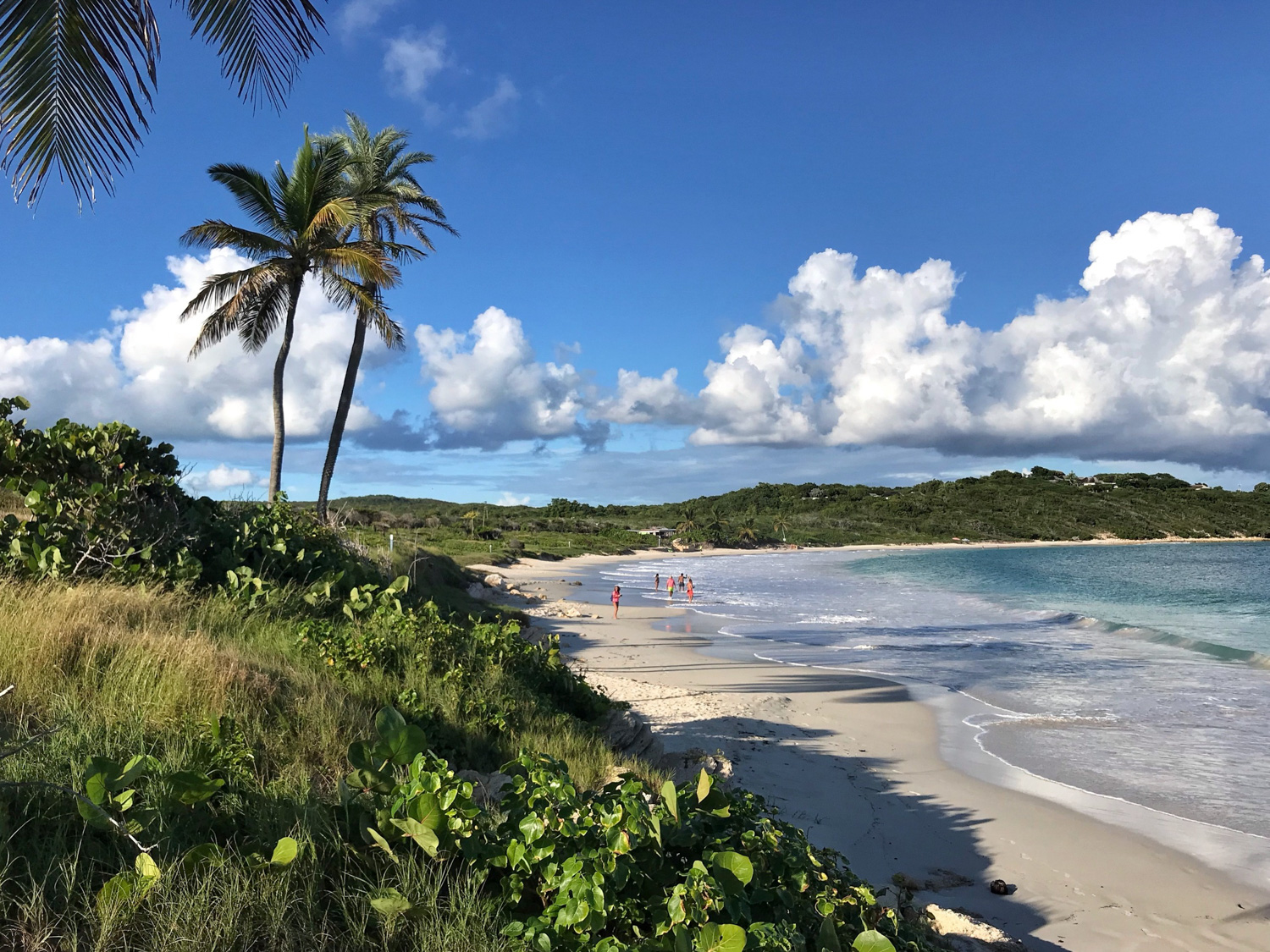 Half Moon Bay Antigua.