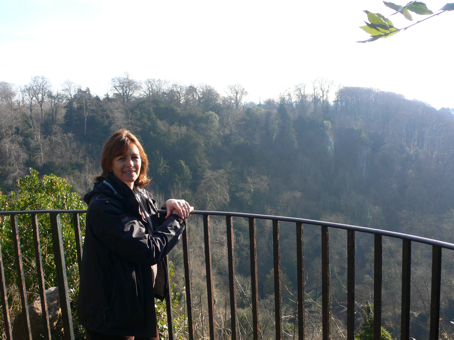 Overlooking the coombe dingle gorge in Blaize castle park