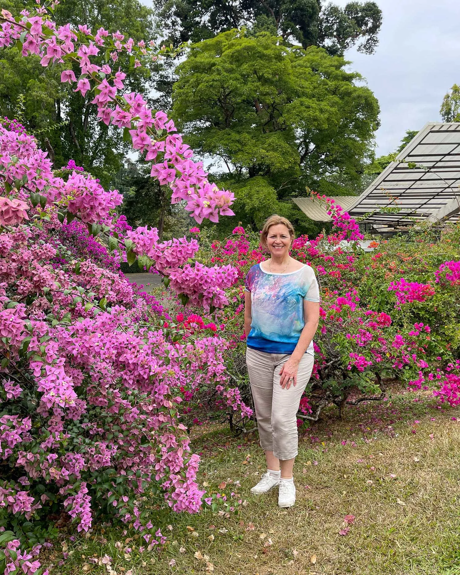 Royal Botanical Gardens at Peradeniya Sri Lanka Photo Heatheronh