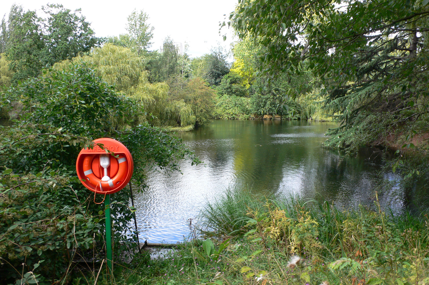 The Lake at Buckingham Palace