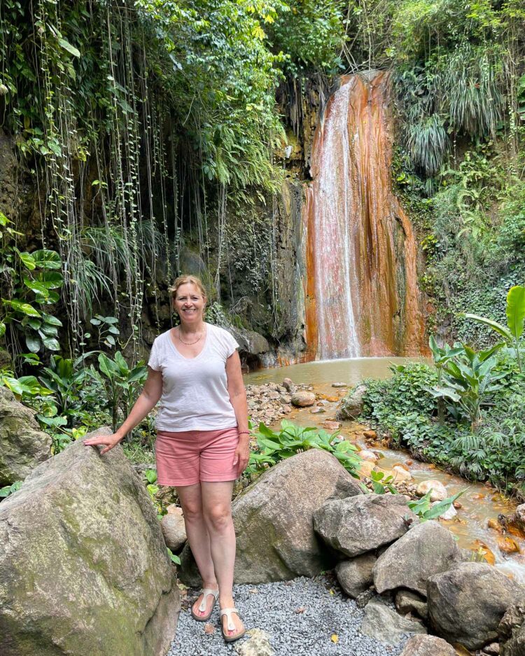 Collection 30+ Images st. lucia botanical gardens photos Full HD, 2k, 4k Collection 30+ Images st. lucia botanical gardens photos Full HD, 2k, 4k