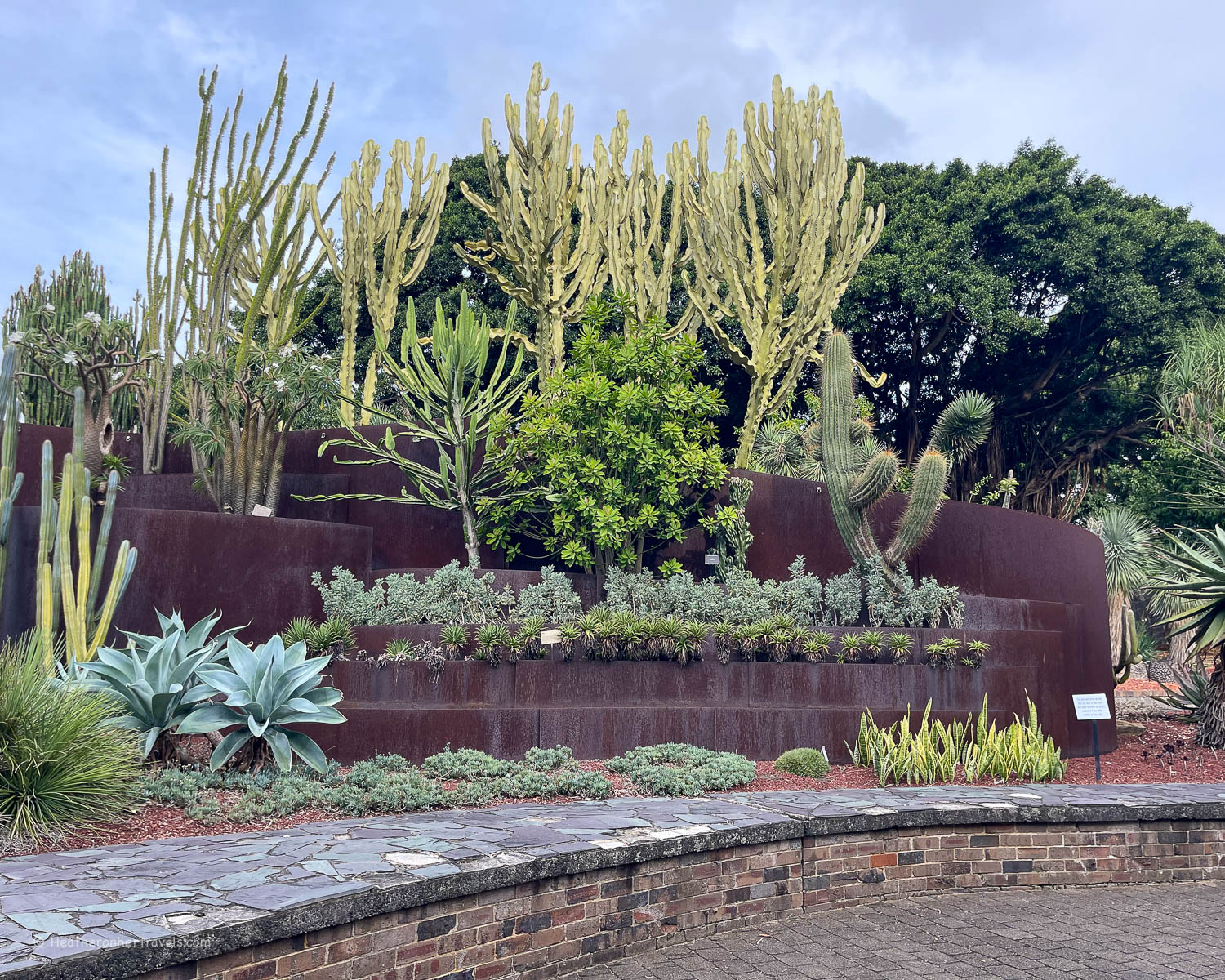Succulant Garden, Botanic Garden Sydney Australia © Heatheronhertravels.com